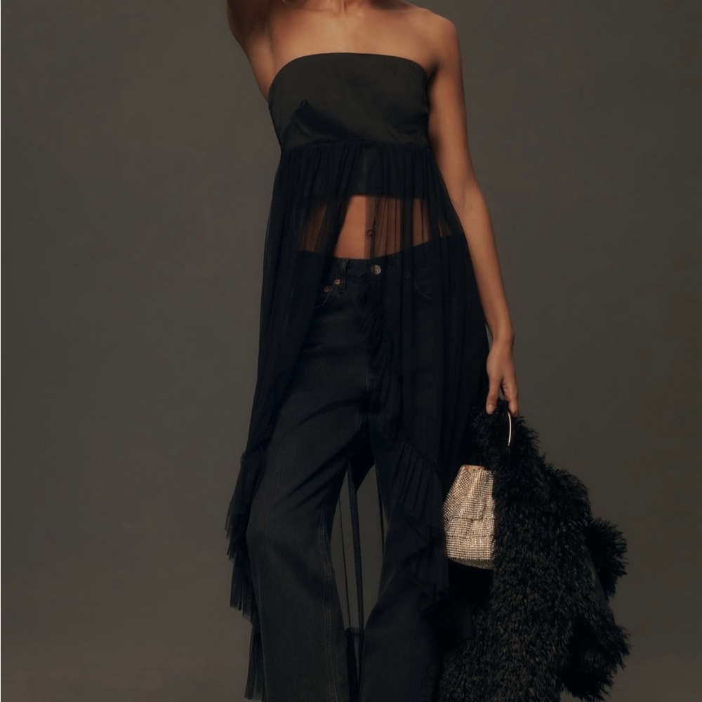 NWT Anthropologie Strapless Tulle Tunic Top XS